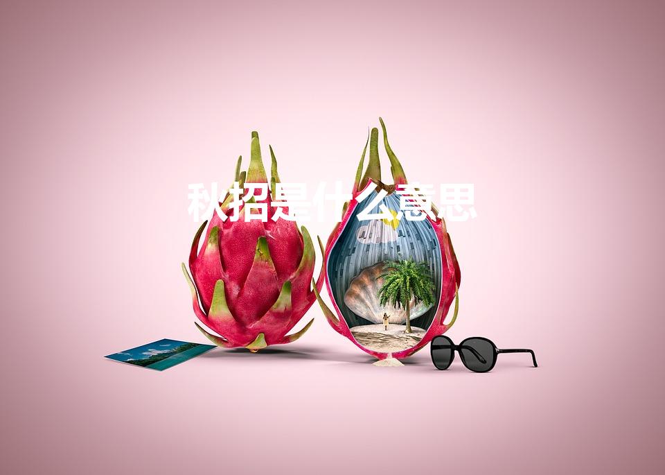 秋招是什么意思