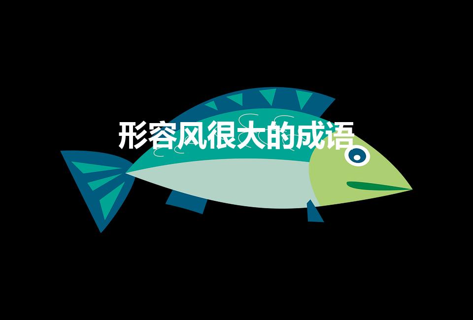 形容风很大的成语（形容风大的成语）