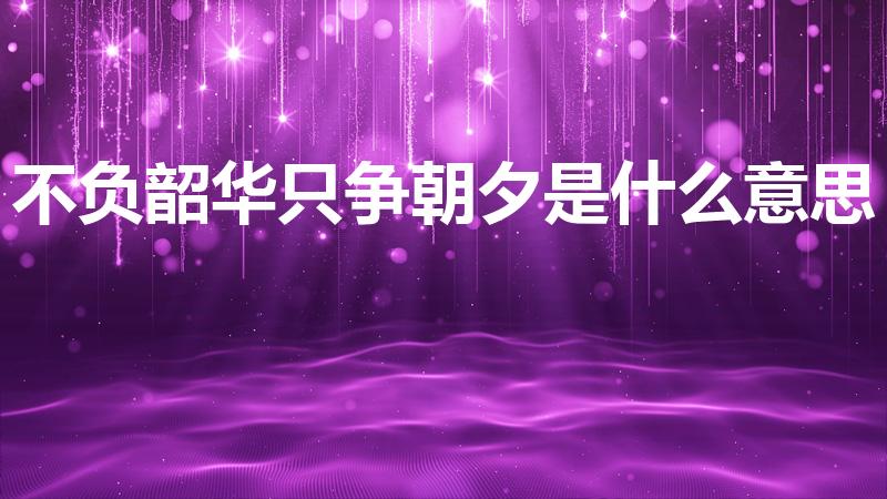 不负韶华只争朝夕是什么意思（只争朝夕不负韶华的意思）