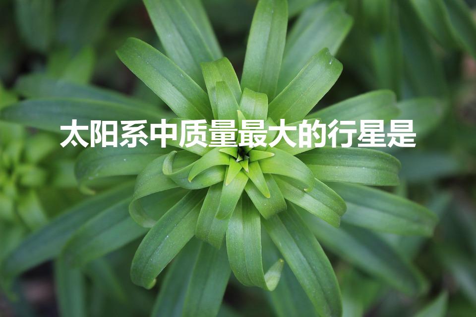 太阳系中质量最大的行星是（太阳系质量最大的行星是什么星）