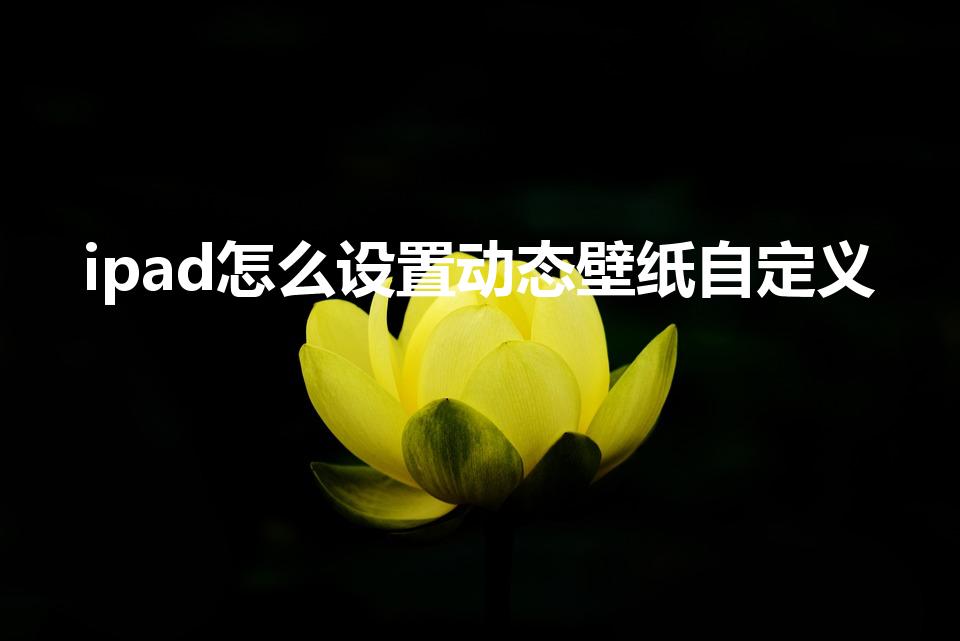 ipad怎么设置动态壁纸自定义（ipad动态壁纸怎么弄）