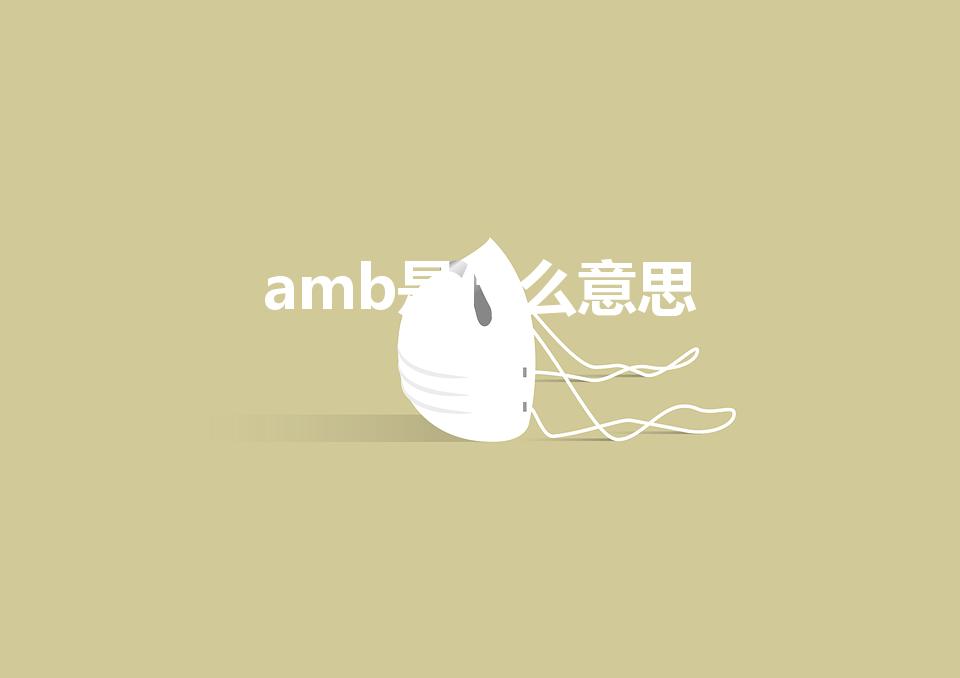 amb是什么意思（AMB是什么意思）