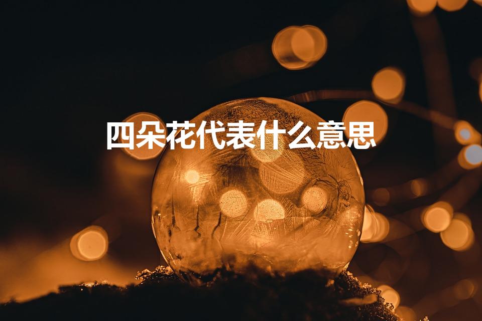 四朵花代表什么意思（四朵玫瑰代表什么意思）