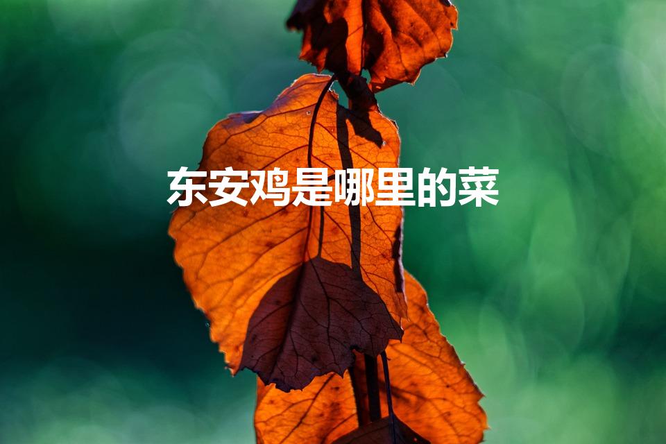 东安鸡是哪里的菜（东安子鸡是哪个地方的菜）