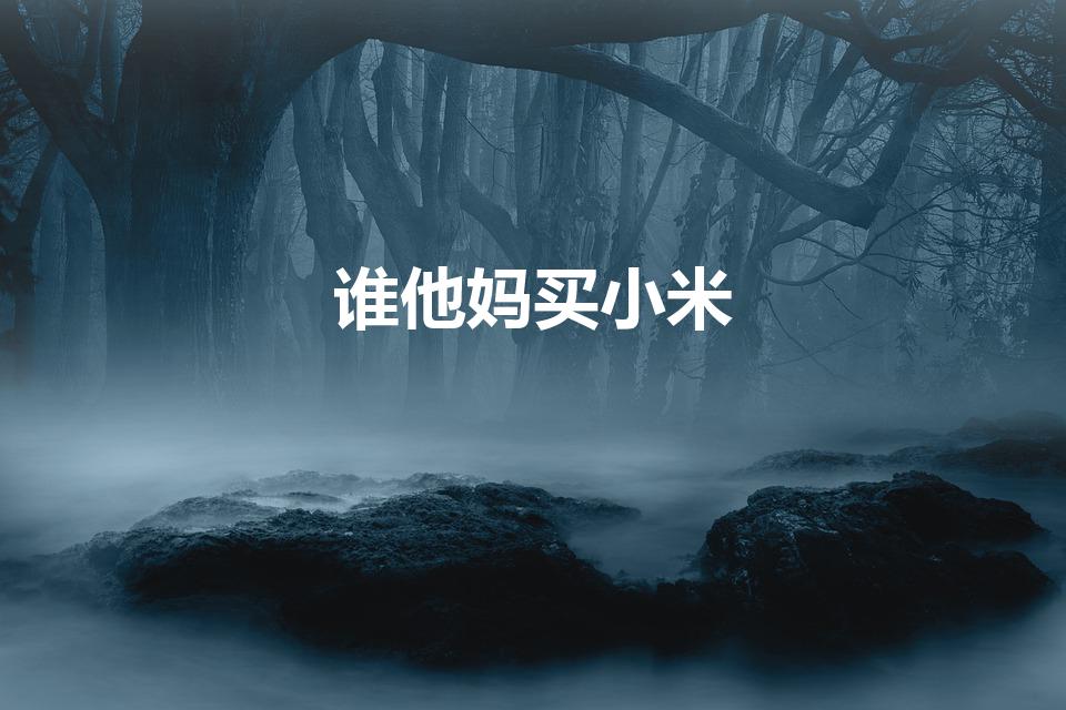 谁他妈买小米（谁TM买小米是什么梗）