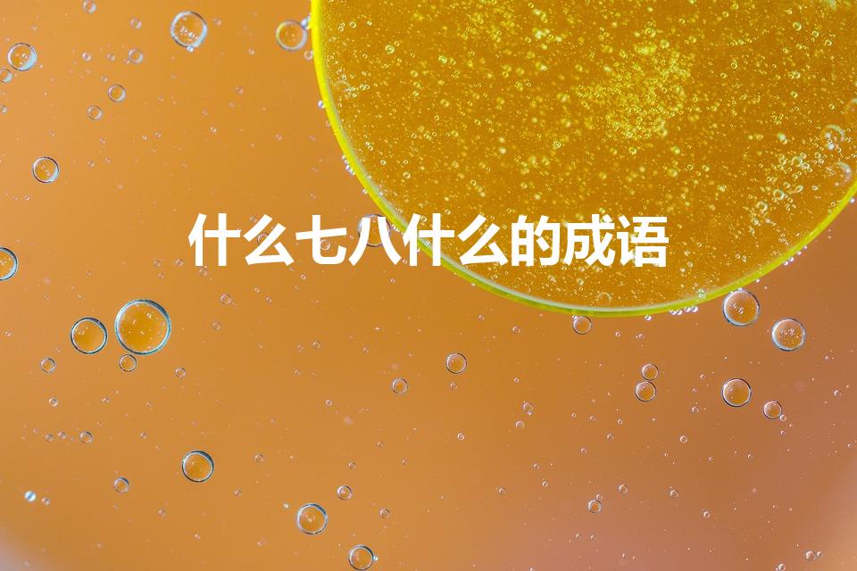什么七八什么的成语（七…八…的成语）