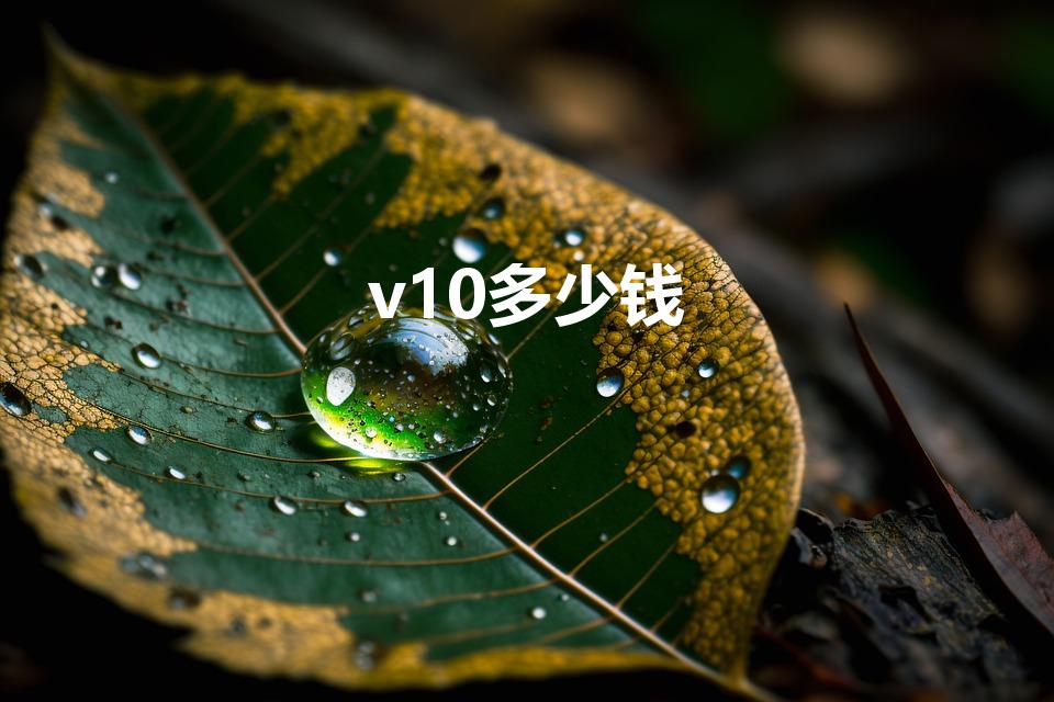 v10多少钱（华为荣耀v10价格大概是多少）