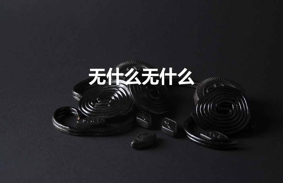 无什么无什么（无什么无什么式词语）