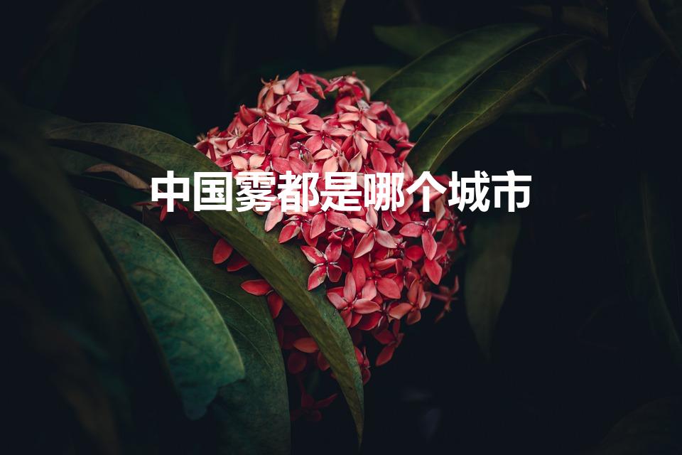中国雾都是哪个城市（中国的“雾都”是指哪个城市）