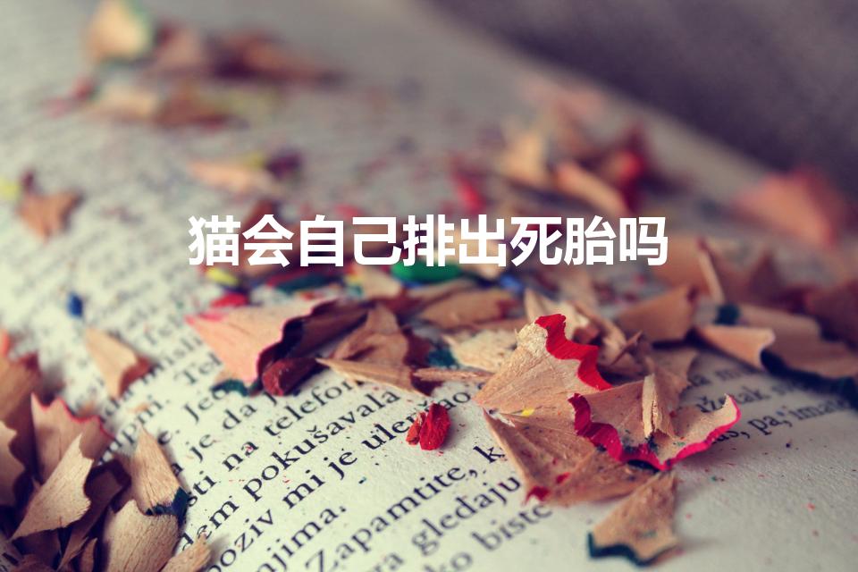 猫会自己排出死胎吗（猫会自己排出死胎吗用不用送医院）