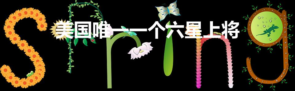 美国唯一一个六星上将