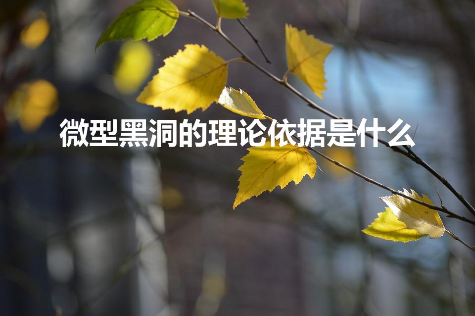 微型黑洞的理论依据是什么（微型黑洞的理论是谁提出来的）