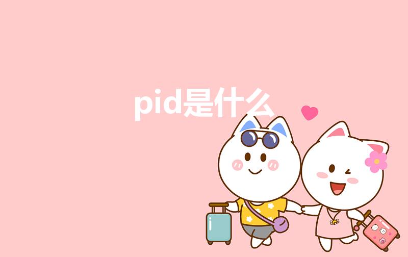 pid是什么（计算机中的pid是什么意思）