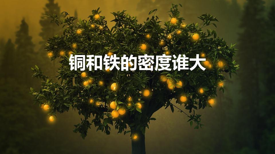 铜和铁的密度谁大（铜和铁的密度哪个大）