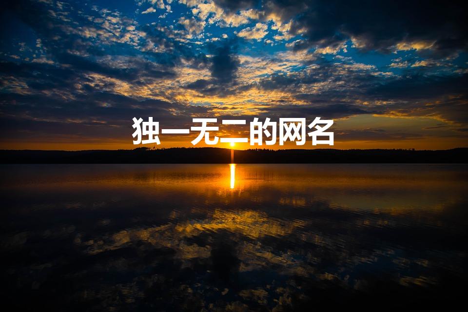 独一无二的网名（独一无二好听的网名）