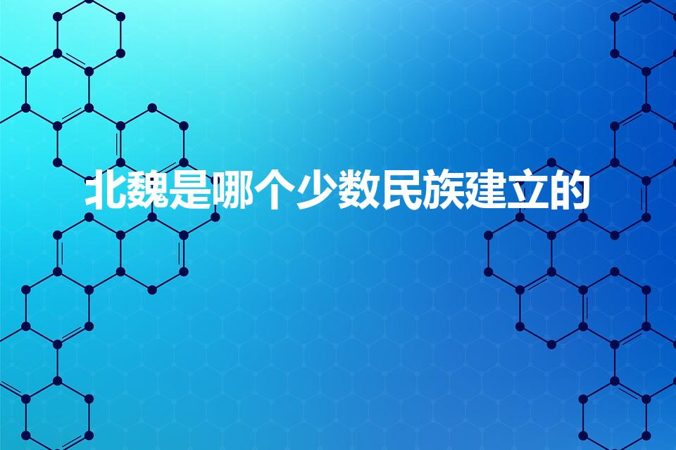 北魏是哪个少数民族建立的（北魏是哪个少数民族建立的王朝）
