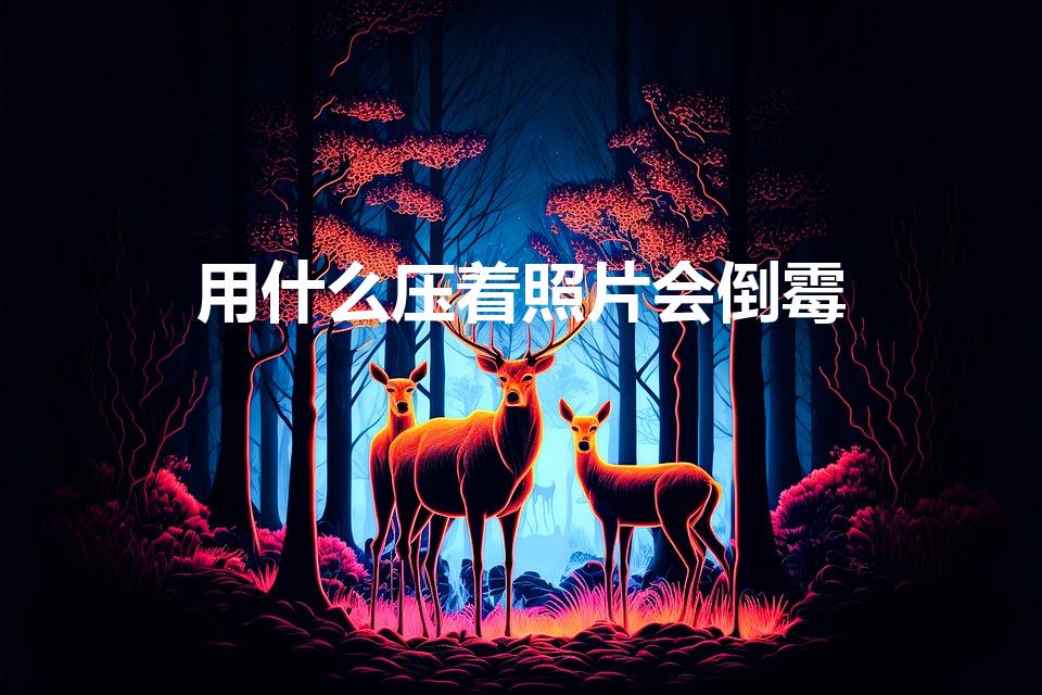 用什么压着照片会倒霉（把别人的相片放在什么地方他会倒霉）