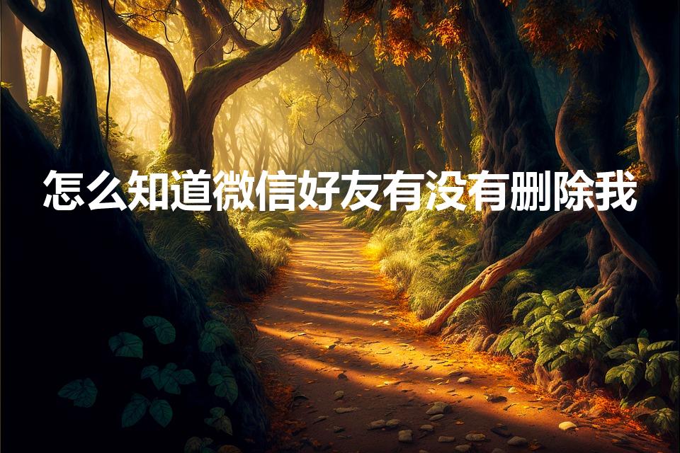 怎么知道微信好友有没有删除我
