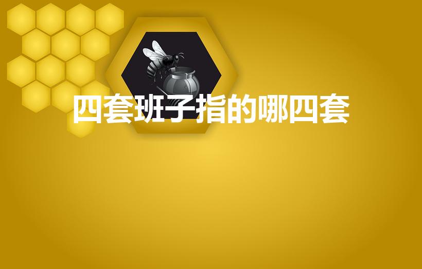四套班子指的哪四套（中央的四套班子是什么）