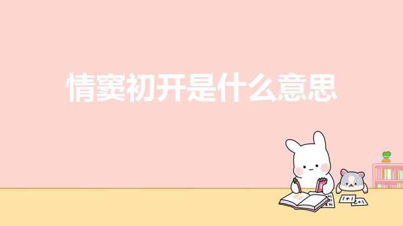 情窦初开是什么意思（情窦初开什么意思）