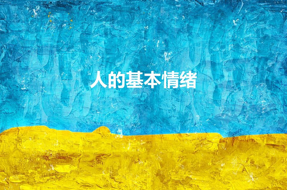 人的基本情绪（人类的九种基本情绪）