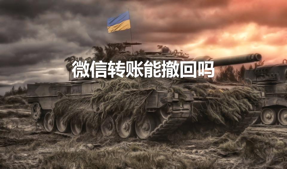 微信转账能撤回吗（微信转错帐可以撤回吗）