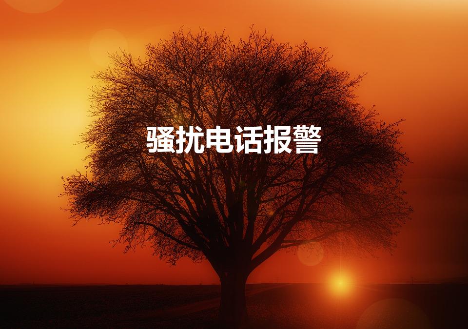 骚扰电话报警（经常被电话骚扰可以报警吗）