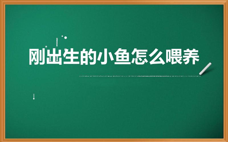 刚出生的小鱼怎么喂养（如何饲养刚出生不久的小鱼）