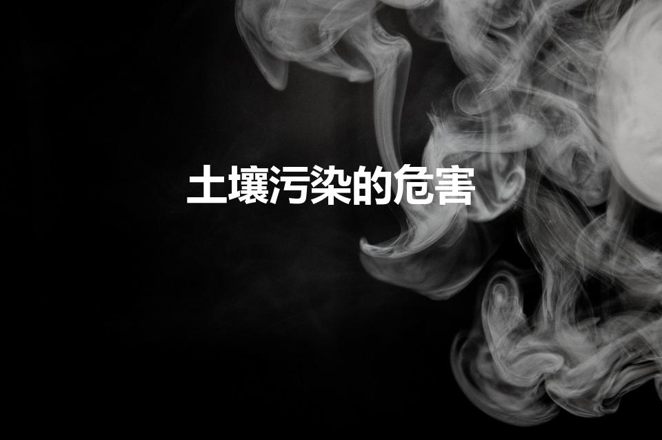 土壤污染的危害（土壤污染的危害是什么）
