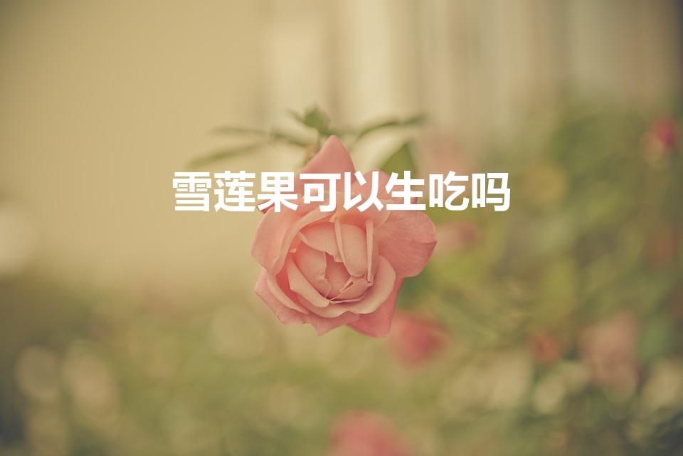雪莲果可以生吃吗（雪莲果怎么吃）