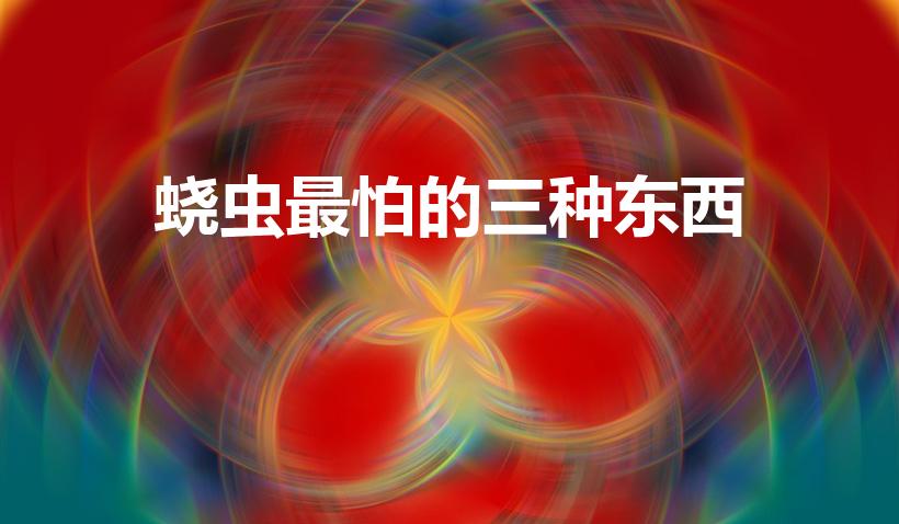 蛲虫最怕的三种东西（寄生虫怕什么）