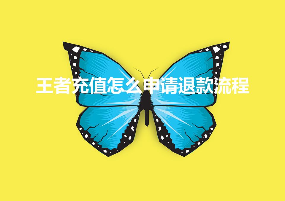 王者充值怎么申请退款流程（王者荣耀怎么申请退款）
