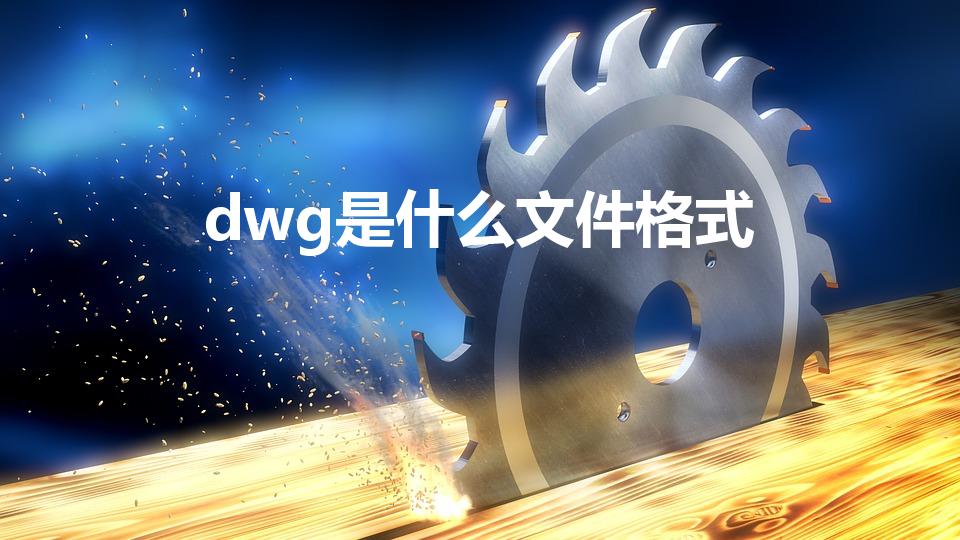 dwg是什么文件格式