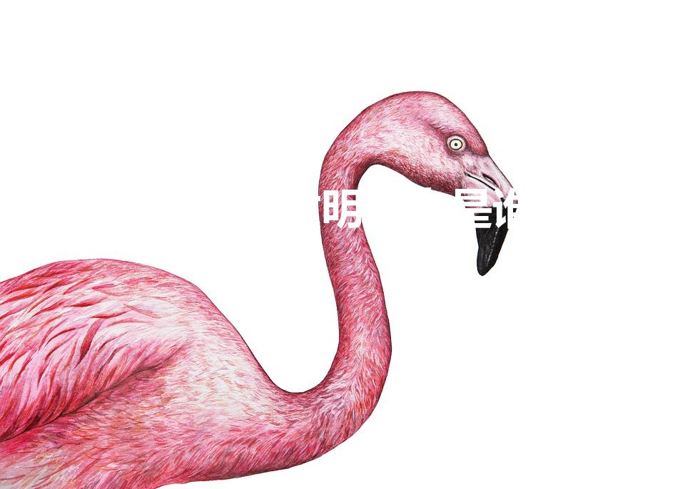 饺子谁发明的人是谁（饺子是谁发明的 饺子的发明者是谁）