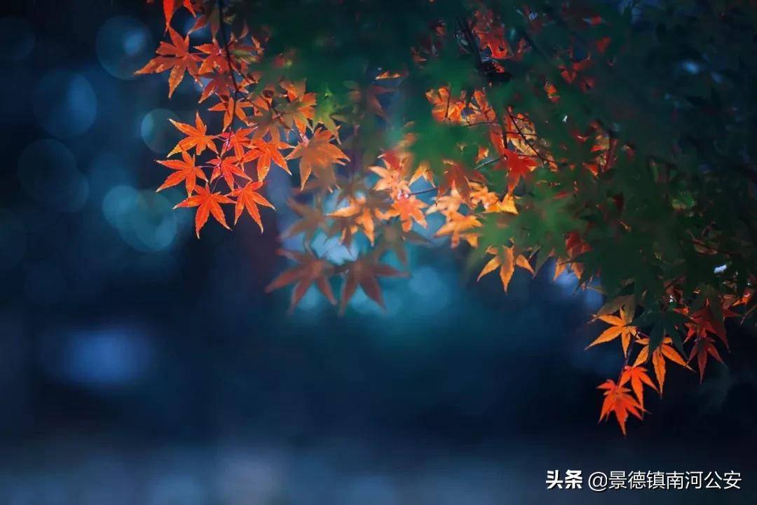 人情冷暖的诗句有哪些？被亲人寒了心的句子