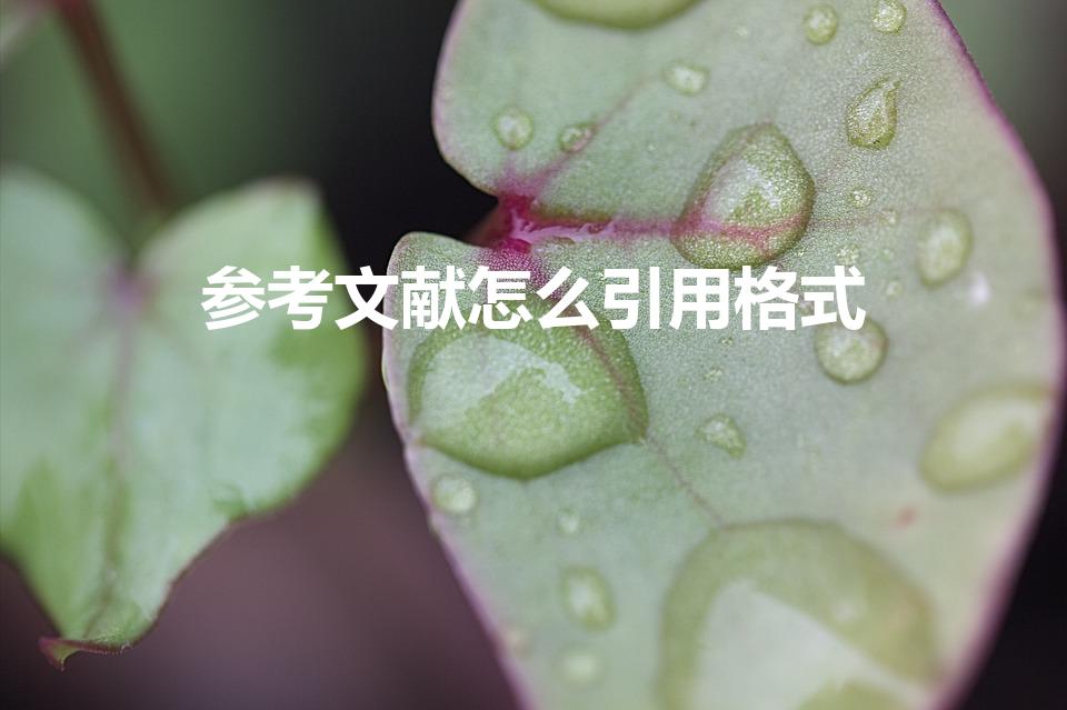 参考文献怎么引用格式（参考文献的引用格式）