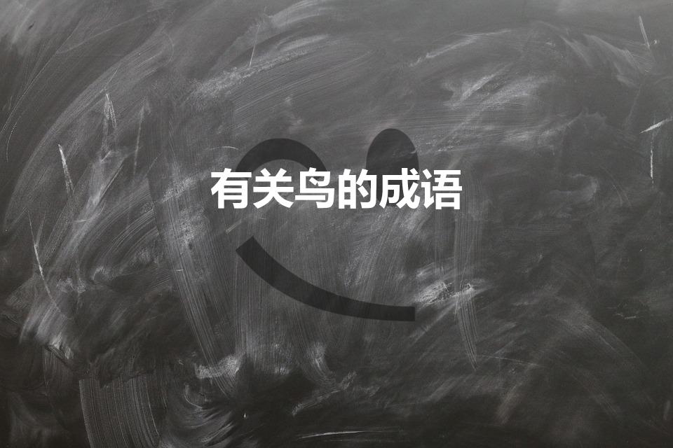 有关鸟的成语（带有鸟字的成语100个）