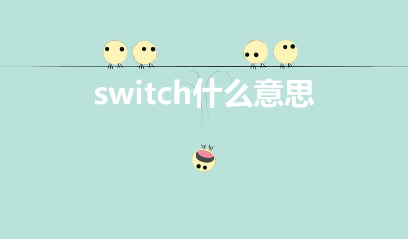 switch什么意思（单词switch是什么意思）
