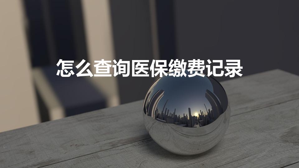 怎么查询医保缴费记录（交了医保怎么查缴费记录）