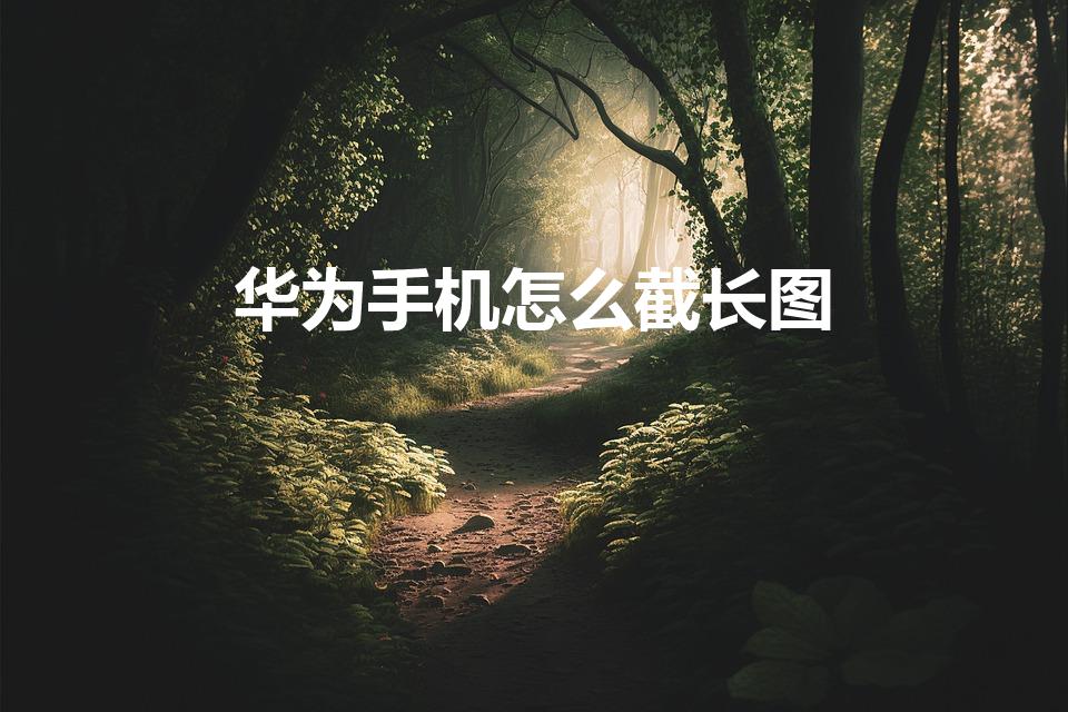 华为手机怎么截长图（华为怎么长截屏）