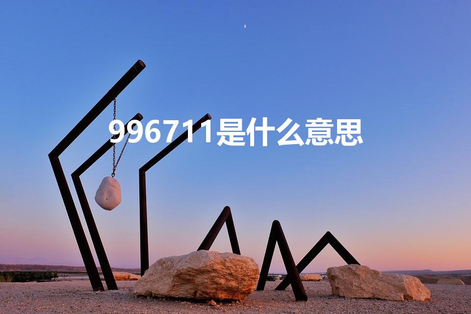 996711是什么意思（996 711是什么意思）