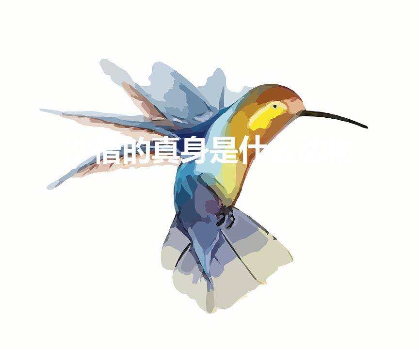 沙僧的真身是什么动物