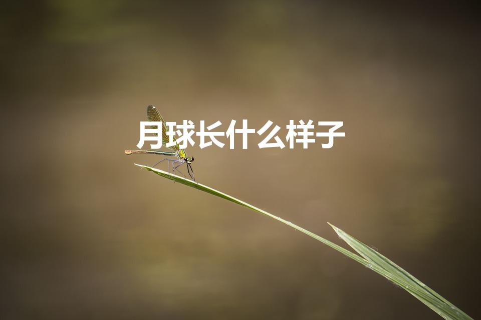 月球长什么样子（月亮分为哪几种形状）