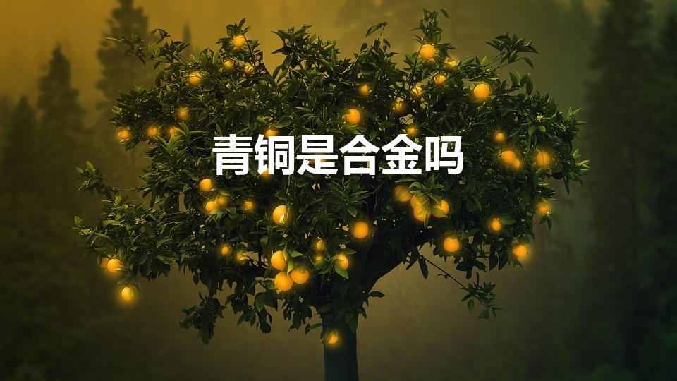 青铜是合金吗（青铜属于是合金吗）