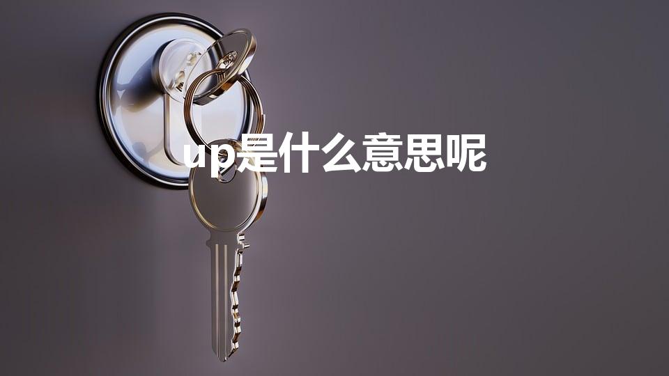 up是什么意思呢（up是什么意思啊）