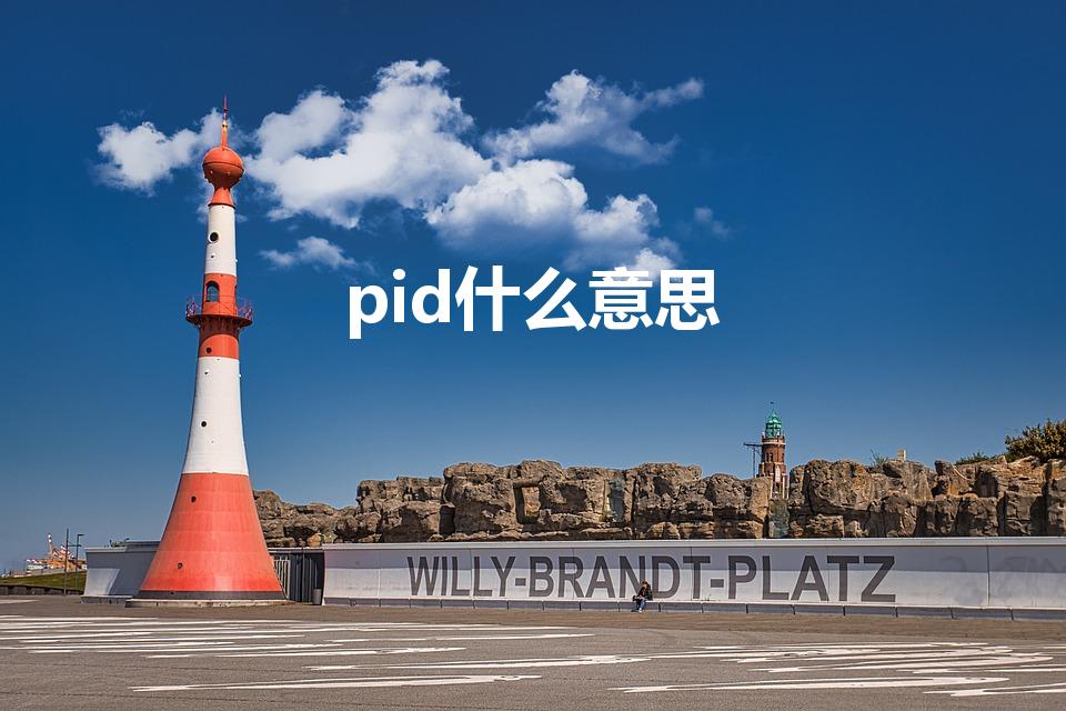 pid什么意思（PID是什么意思）