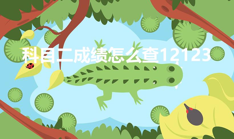 科目二成绩怎么查12123