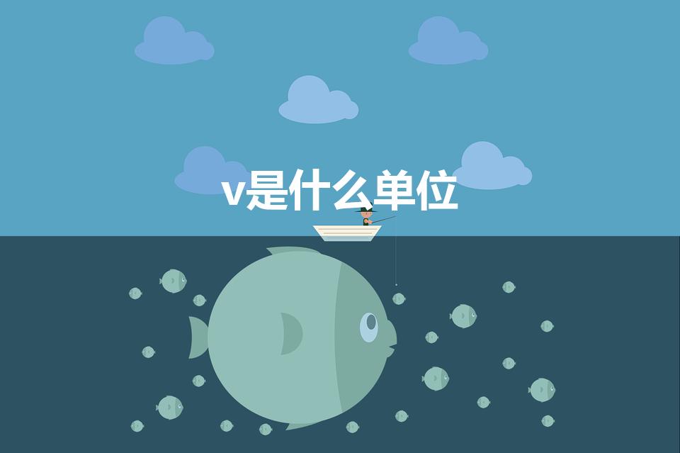 v是什么单位（V代表什么意思）