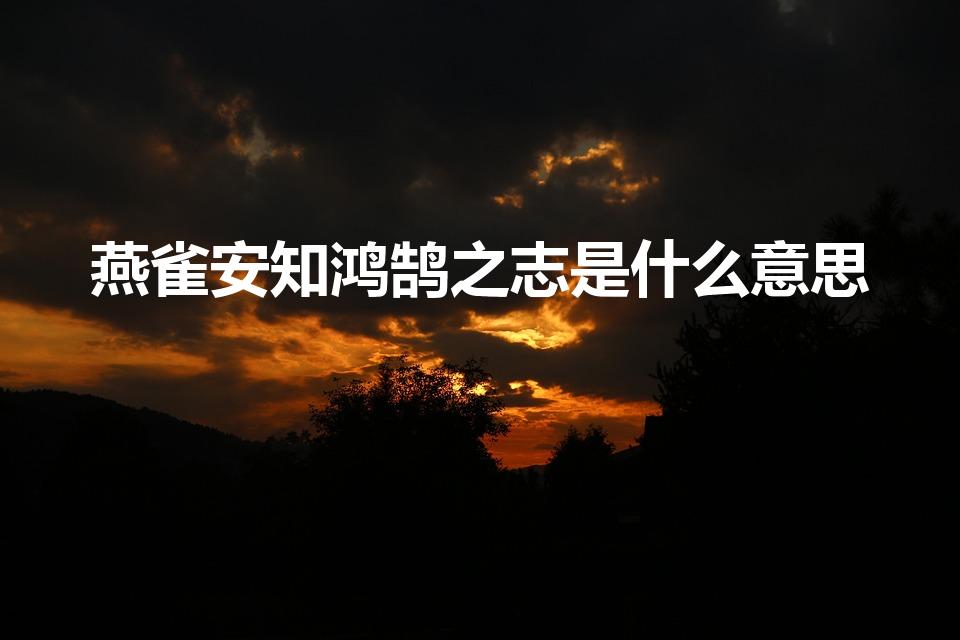 燕雀安知鸿鹄之志是什么意思（燕雀安知鸿鹄之志什么意思）
