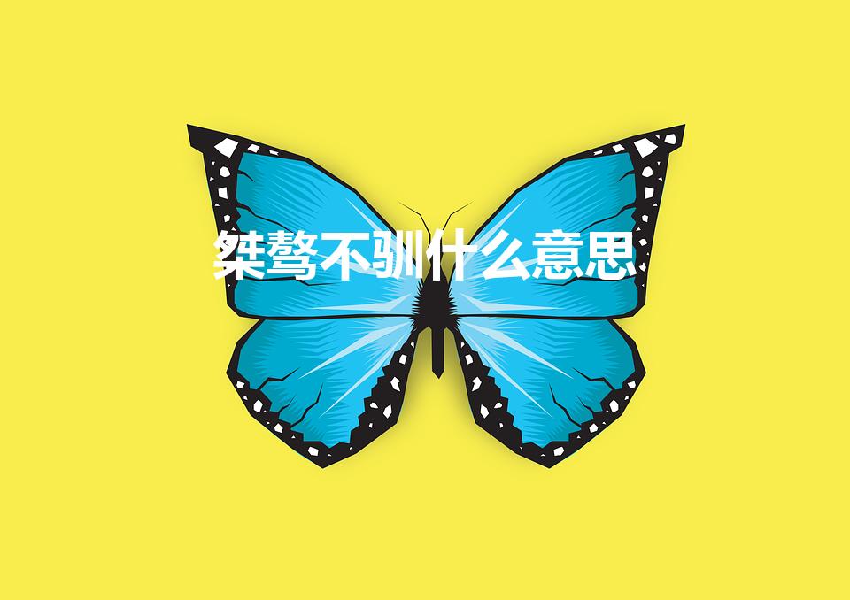 桀骜不驯什么意思（桀骜不驯的意思）